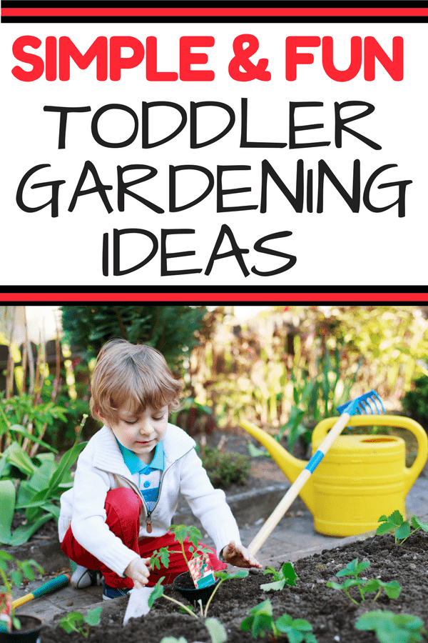 Toddler Gardening Guide: Gardening with your toddler is the perfect spring or summer activity. Encourage fine and gross motor skills while playing in the dirt! No lesson plans required for this fun way to learn. Encourage your toddler's development through gardening. 