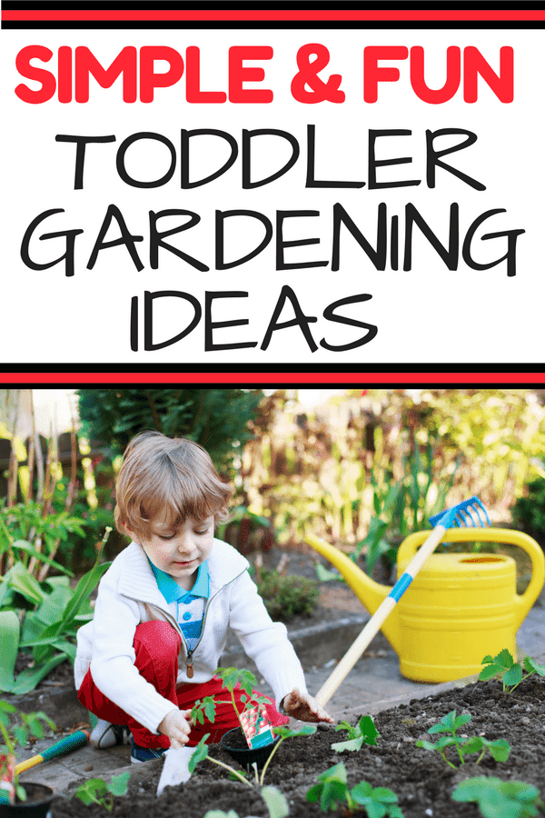 Toddler Gardening Guide: Gardening with your toddler is the perfect spring or summer activity. Encourage fine and gross motor skills while playing in the dirt! No lesson plans required for this fun way to learn. Encourage your toddler's development through gardening.