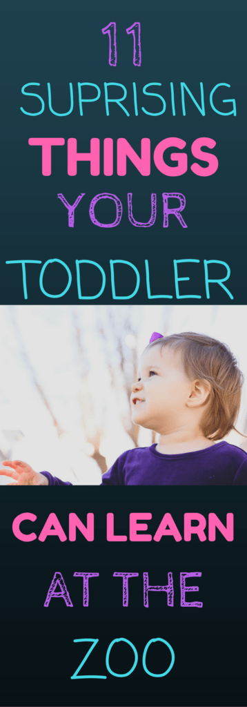 11 SURPRISING THINGS YOUR TODDLER CAN LEARN AT THE ZOO