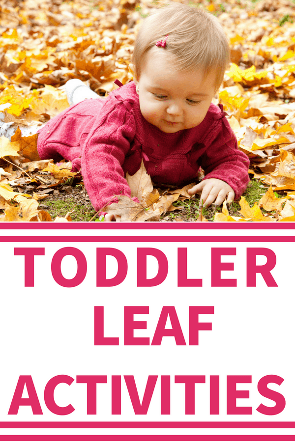 Toddler Fall Activities: Are you looking for fun outdoor play ideas for your toddler? Try these simple ideas using leaves to help your toddler learn and gain skills.