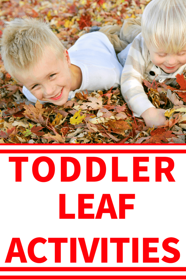 Simple Fall Activities for Toddlers: Are you looking for fun outdoor toddler activities? Try these simple ways to celebrate autumn outside with your toddler. Leaves can be used to teach many skills such as color sorting. 