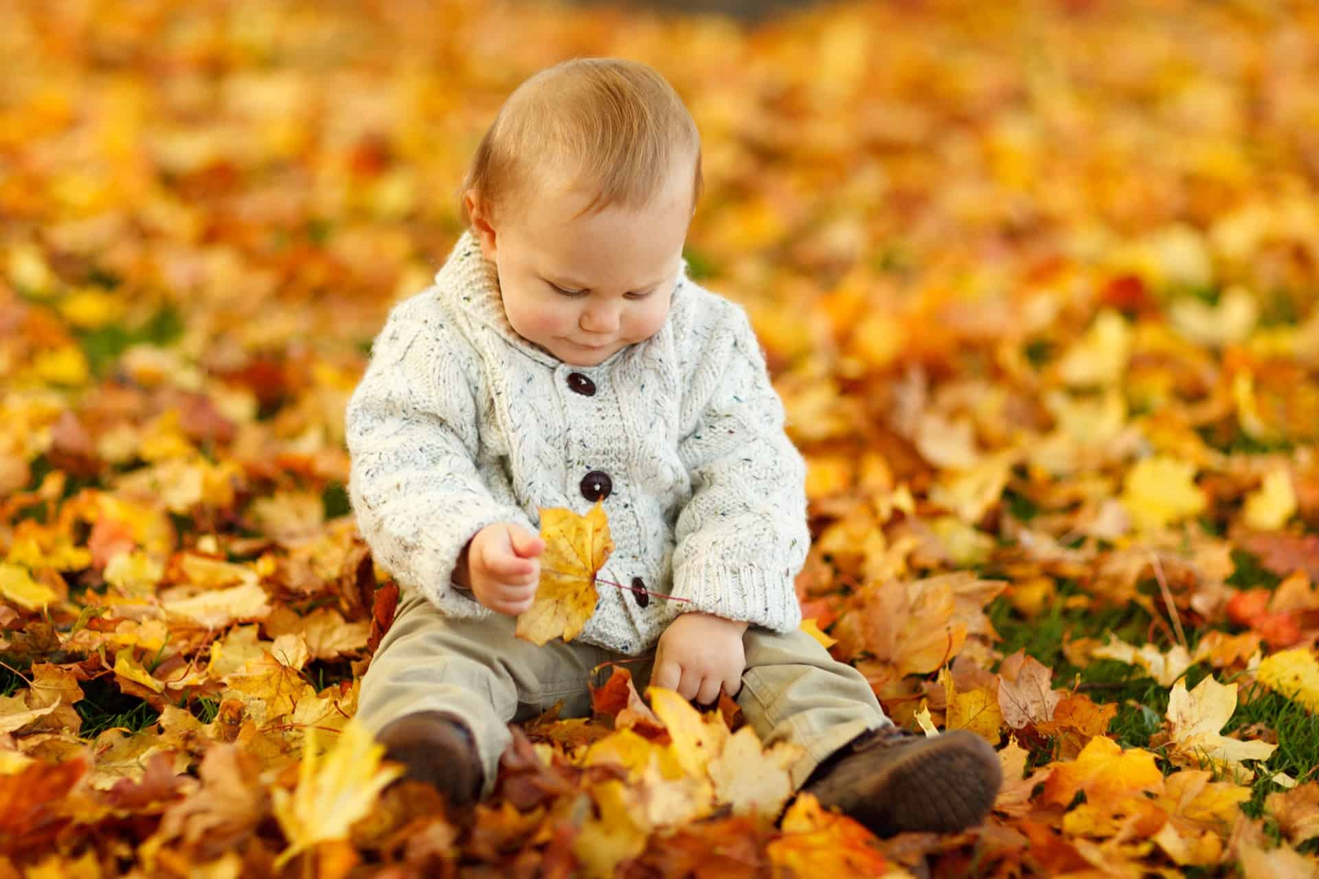 Autumn Toddler Learning