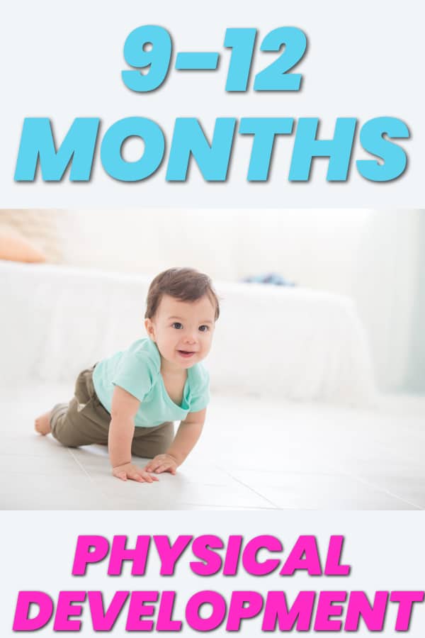9-12 Months Physical Development