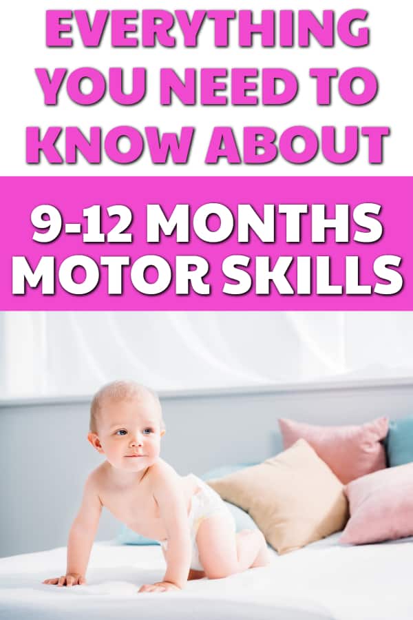 9-12 Months Motor Skills
