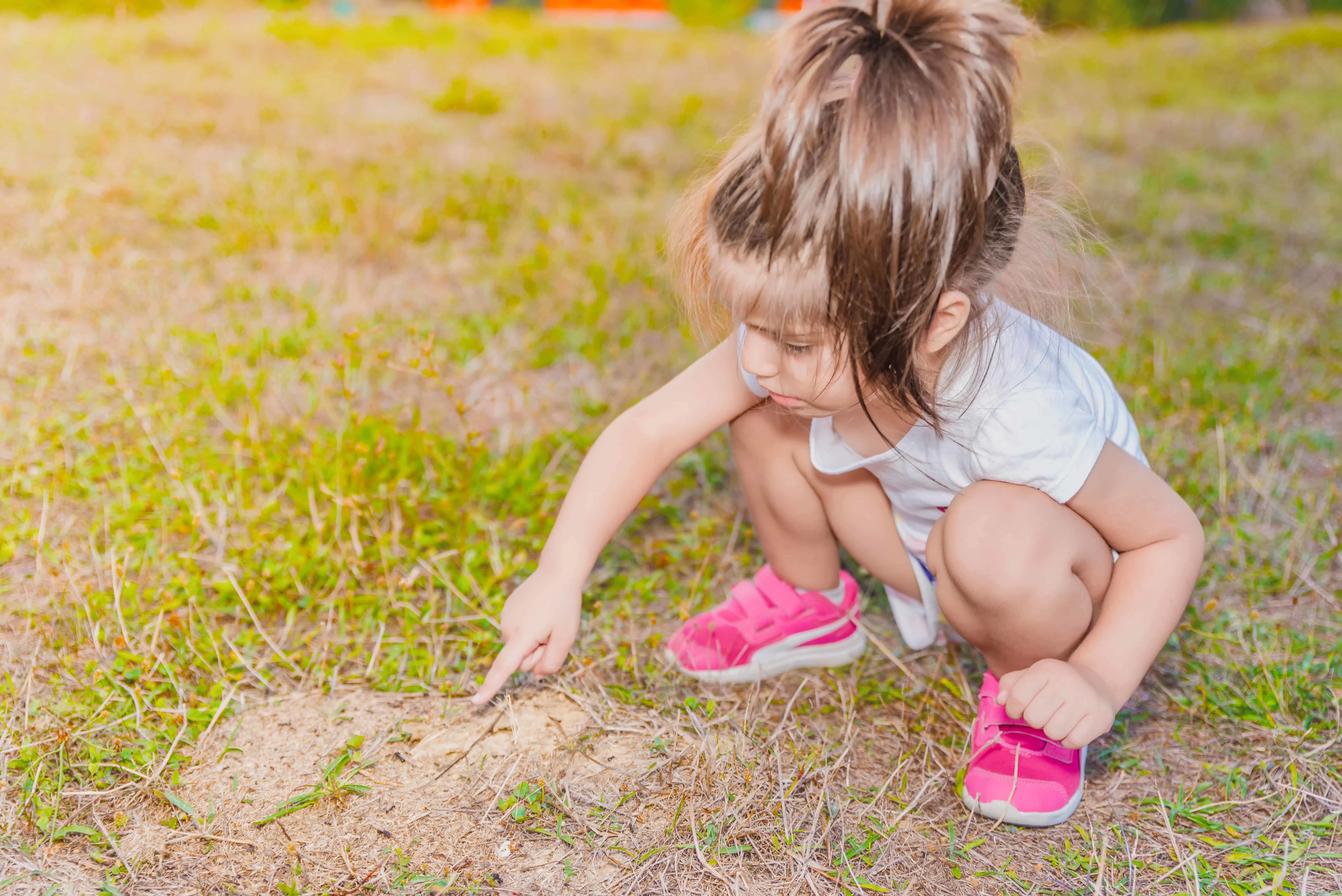 Best bug activities for toddlers that promote learning.