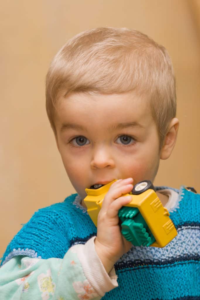 Toddler Biting Toys