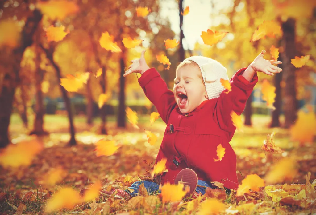 Fall activities for toddlers