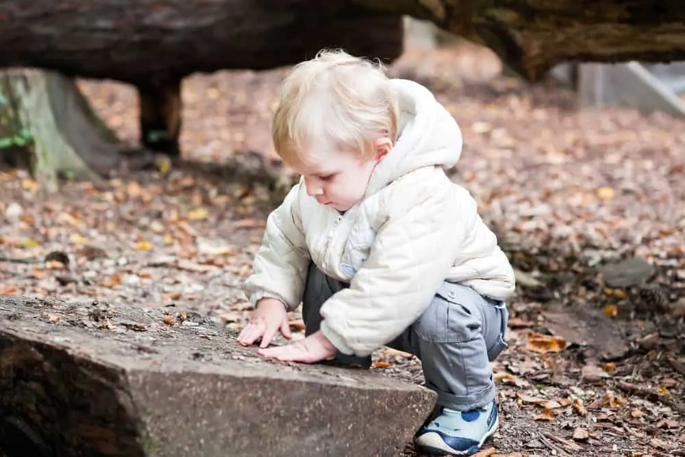 Little toddler boy walking in autumn forest playing with leaves