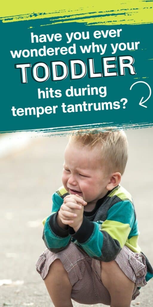 toddler squatting down and crying with text overlay:  Have you ever wondered why your toddler hits during temper tantrums?