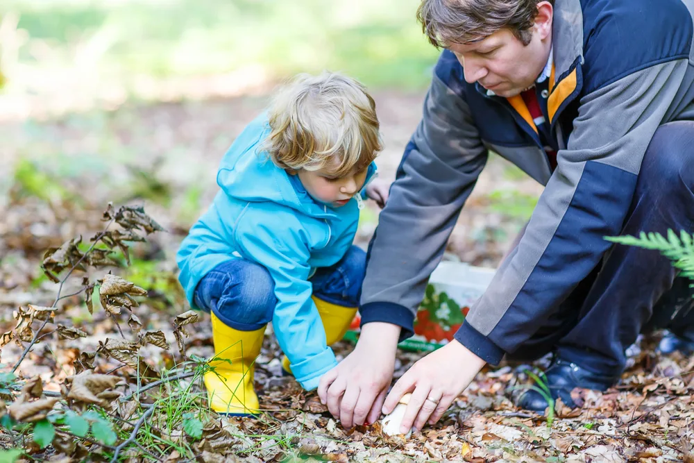 Cute blond kid boy and his father searching mushrooms in autumn forest. Family spending time together.