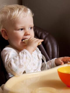 toddler eating a meal